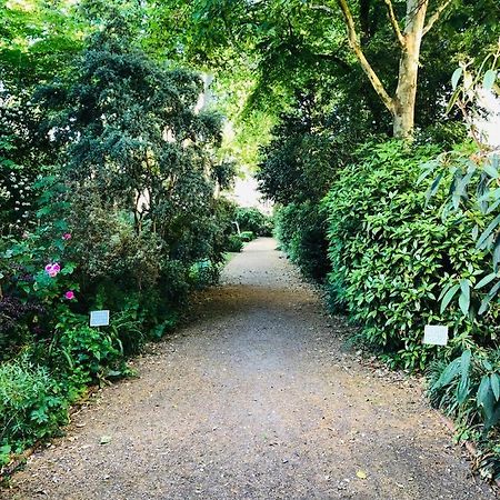 Southern Belgravia Apartments Londres Exterior foto
